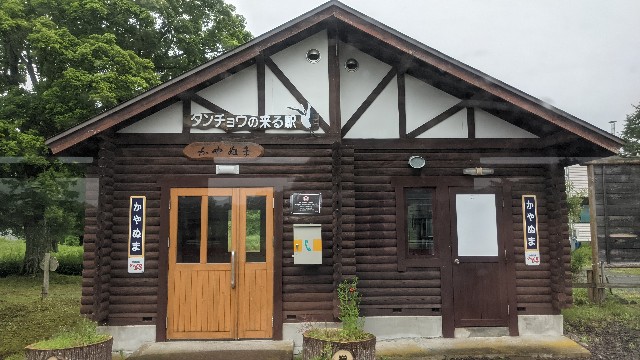 f:id:haniiidoguuu:20210807123200j:image f:id:haniiidoguuu:20210807123200j:image