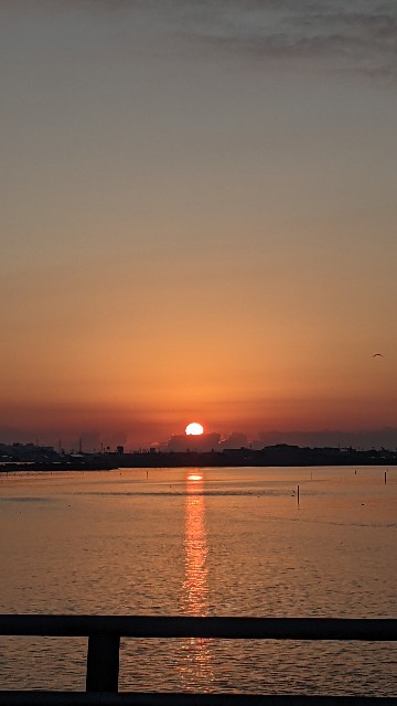 f:id:haniiidoguuu:20211020171143j:image