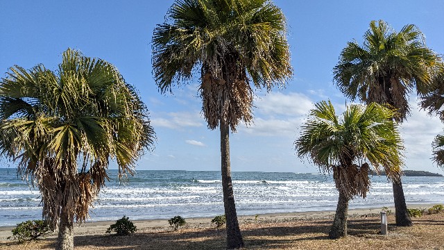 f:id:haniiidoguuu:20211220114356j:image