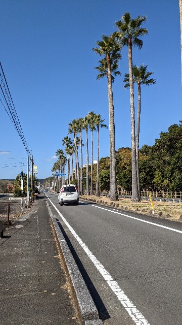 f:id:haniiidoguuu:20220121061851j:image