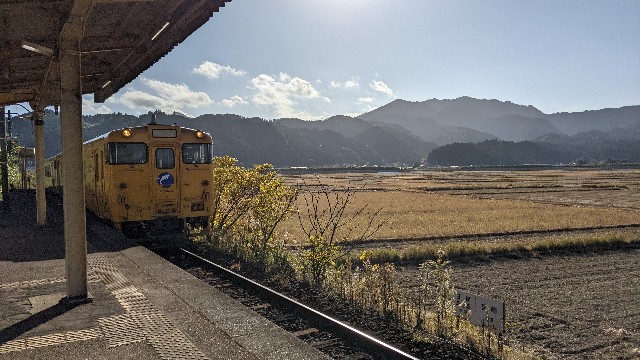 f:id:haniiidoguuu:20220121062337j:image