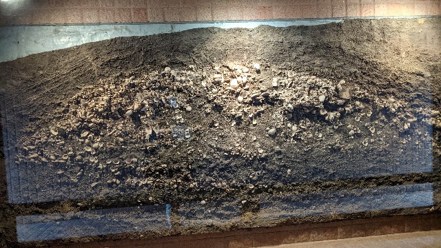 f:id:haniiidoguuu:20220123070340j:image f:id:haniiidoguuu:20220123070340j:image