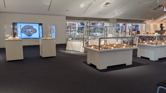 f:id:haniiidoguuu:20220828131759j:image