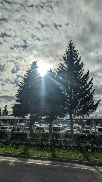 f:id:haniiidoguuu:20221013145213j:image