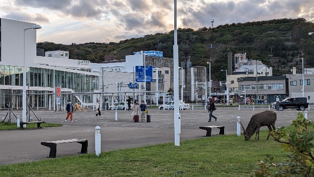 f:id:haniiidoguuu:20221029155345j:image f:id:haniiidoguuu:20221029155345j:image