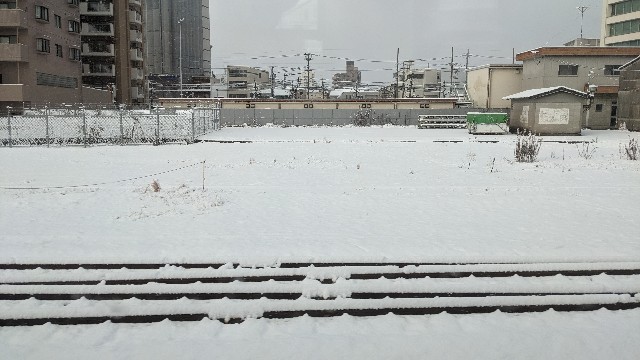 f:id:haniiidoguuu:20221228060345j:image f:id:haniiidoguuu:20221228060345j:image