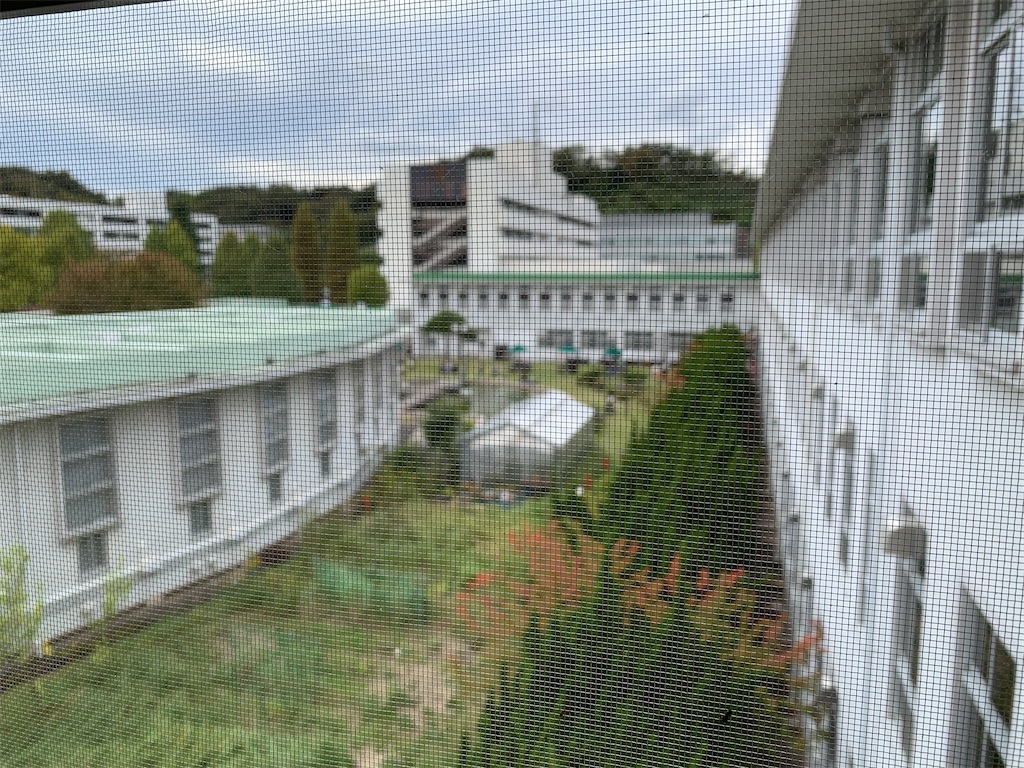 f:id:haniiidoguuu:20251105102257j:image