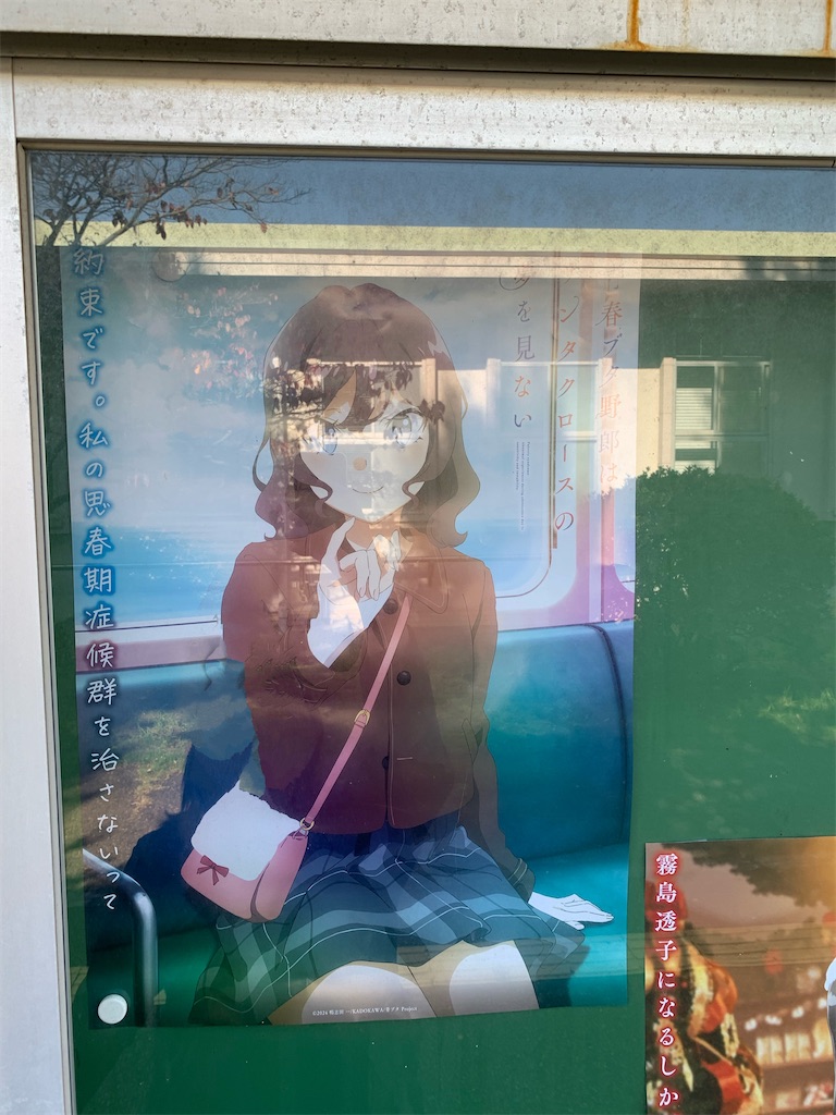 f:id:haniiidoguuu:20251111165212j:image