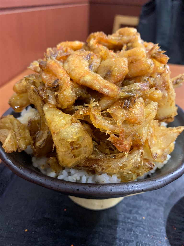 f:id:haniiidoguuu:20260111104015j:image