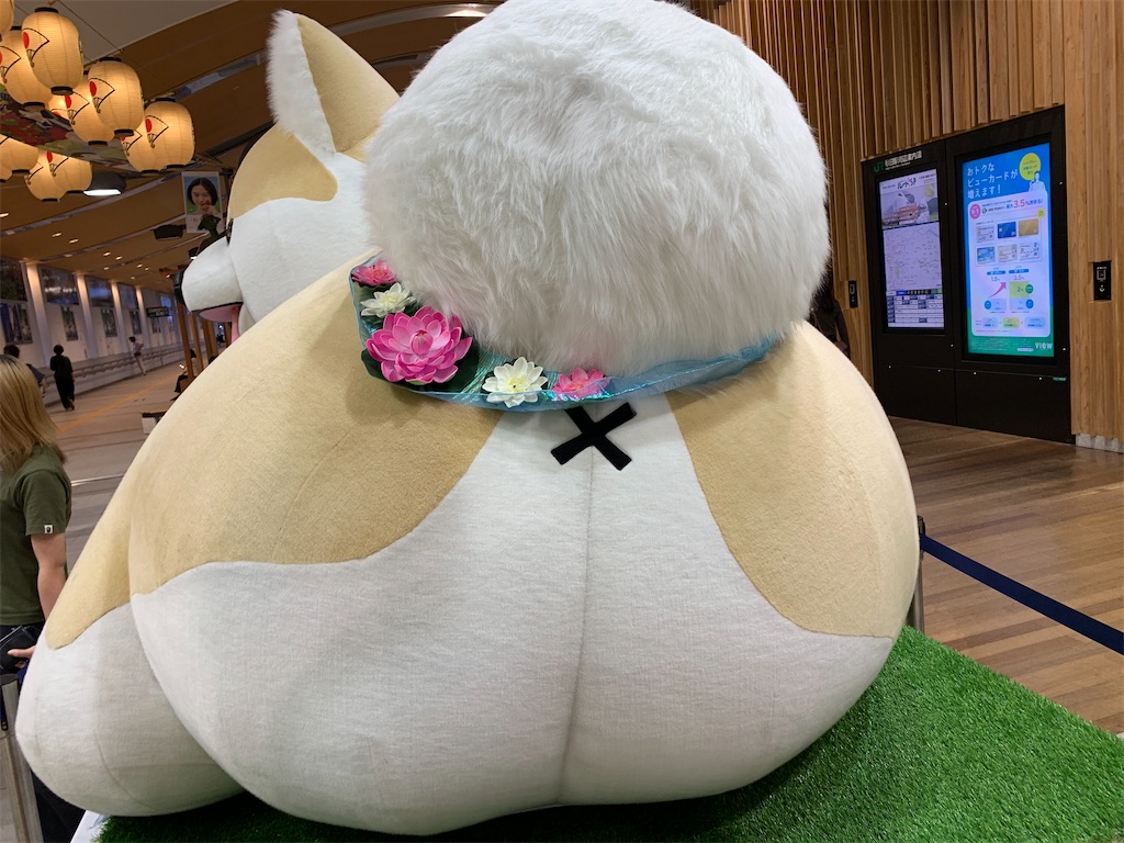 f:id:haniiidoguuu:20261007112108j:image