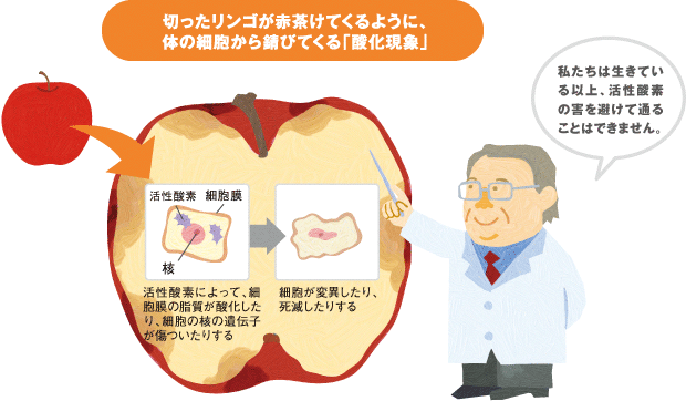 f:id:hanimarublog:20220321015158p:image f:id:hanimarublog:20220321015158p:image