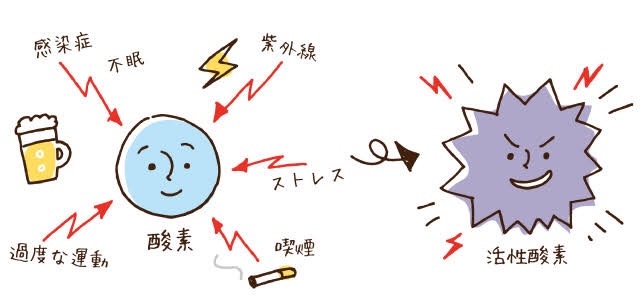 f:id:hanimarublog:20220321020018j:image f:id:hanimarublog:20220321020018j:image