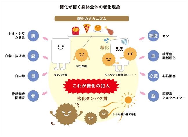 f:id:hanimarublog:20220321213856j:image f:id:hanimarublog:20220321213856j:image