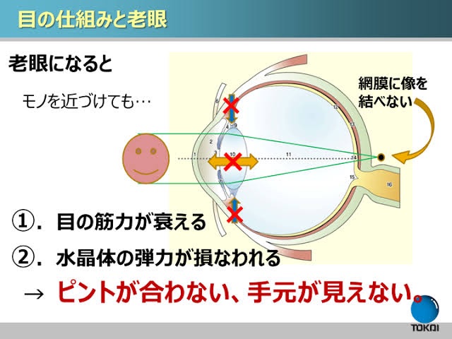f:id:hanimarublog:20220325224349j:image f:id:hanimarublog:20220325224349j:image