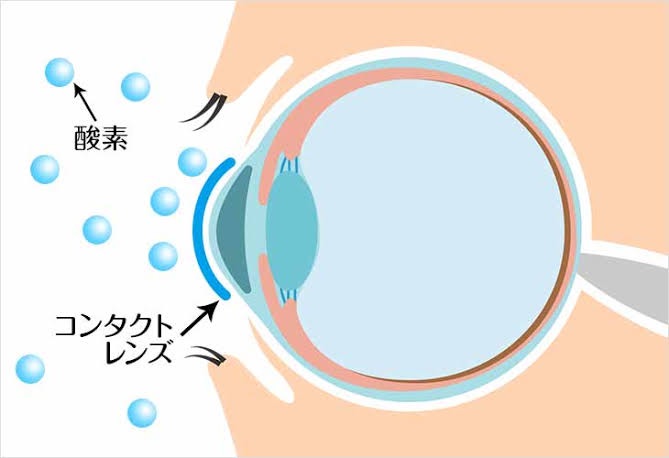 f:id:hanimarublog:20220328012928j:image f:id:hanimarublog:20220328012928j:image