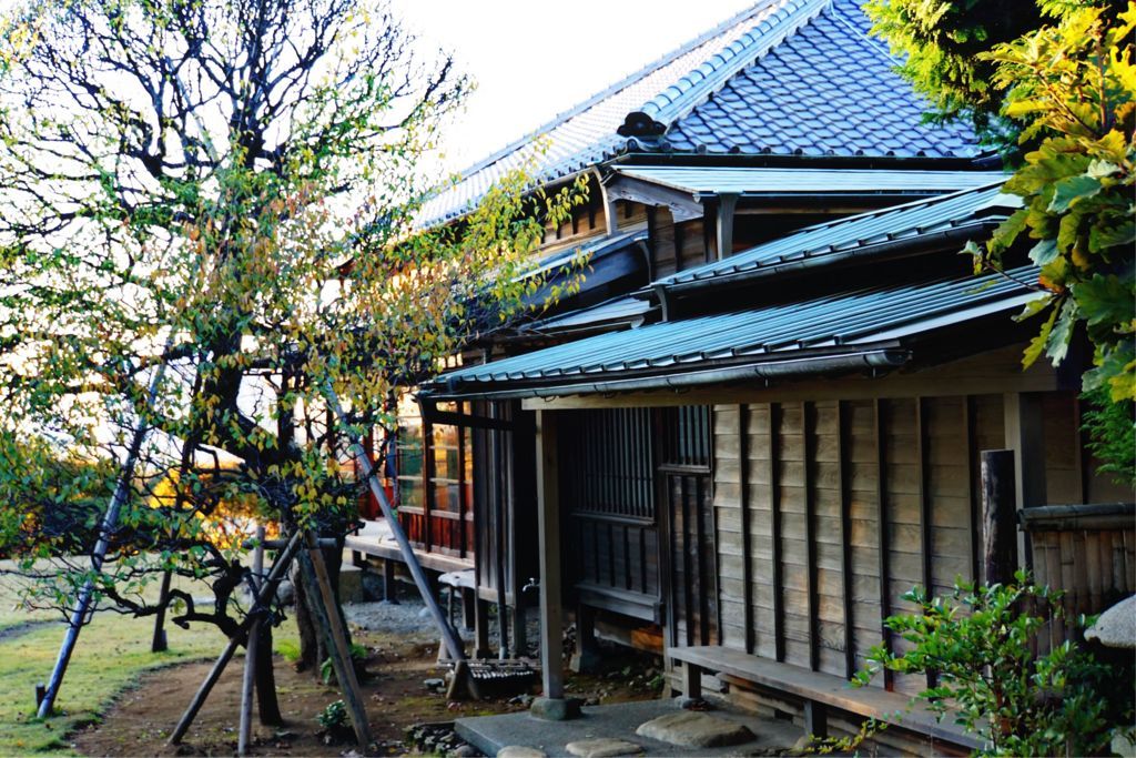 f:id:hanisandayo:20171123203852j:plain f:id:hanisandayo:20171123203852j:plain