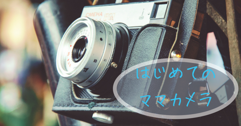 f:id:hanisandayo:20180318052628p:plain f:id:hanisandayo:20180318052628p:plain
