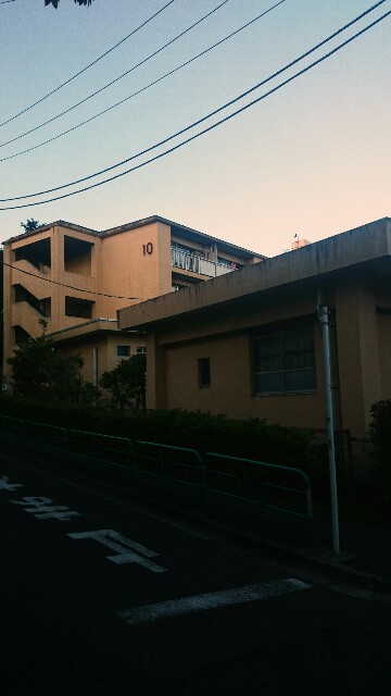 f:id:haniwakai:20170612011055j:image f:id:haniwakai:20170612011055j:image