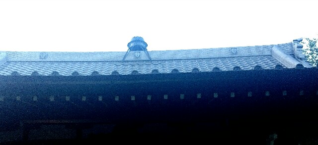 f:id:haniwakai:20170612193143j:image f:id:haniwakai:20170612193143j:image