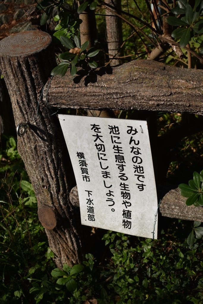 f:id:haniwakai:20181111004010j:plain