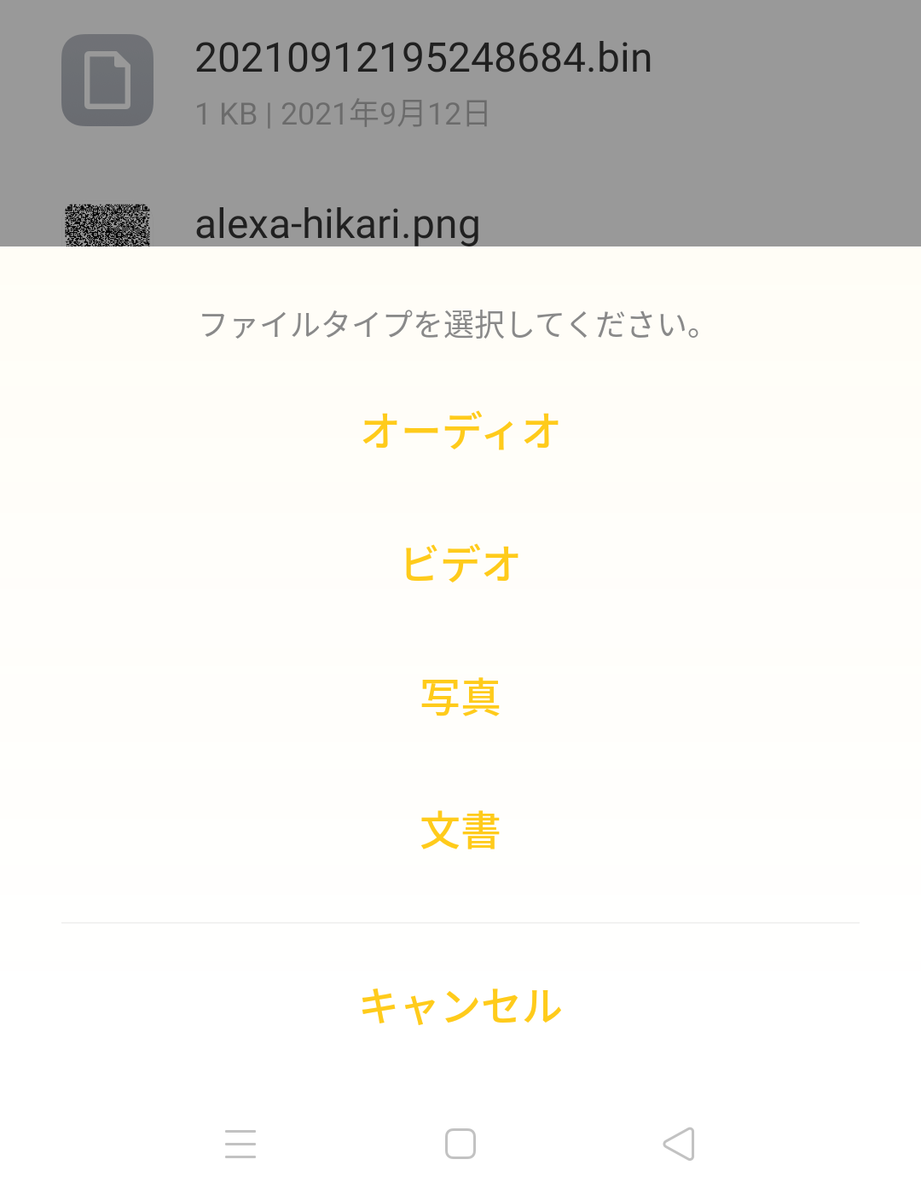 f:id:haniwakai:20210912232951p:plain