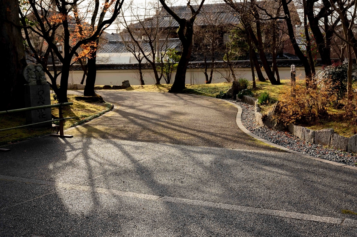 f:id:haniwakai:20220123221916j:plain