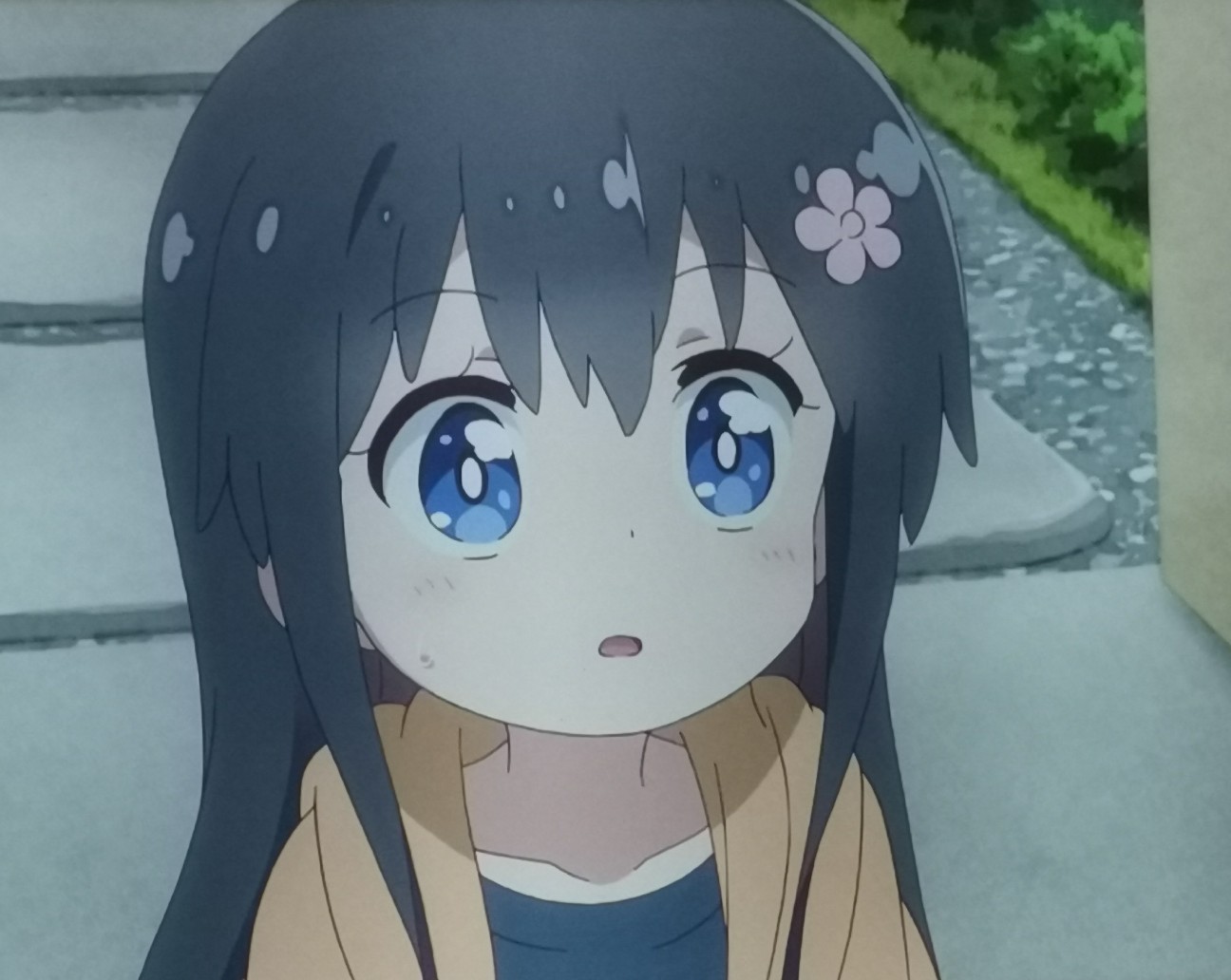 f:id:haniwakai:20221127200003j:image f:id:haniwakai:20221127200003j:image