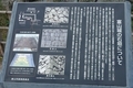 20241130215858