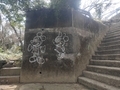 20250321223833