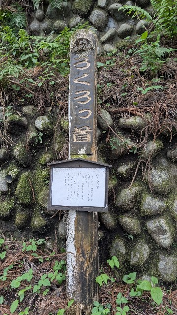 f:id:haniwakai:20250531234707j:image