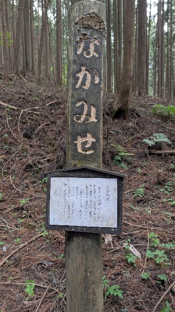 f:id:haniwakai:20250531234839j:image
