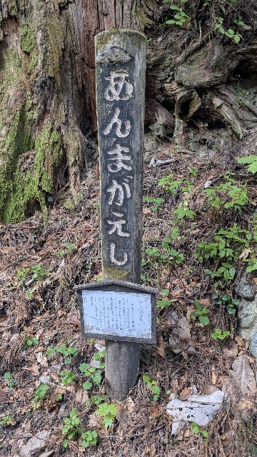 f:id:haniwakai:20250531234941j:image
