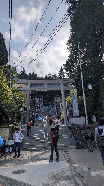 f:id:haniwakai:20250531235522j:image