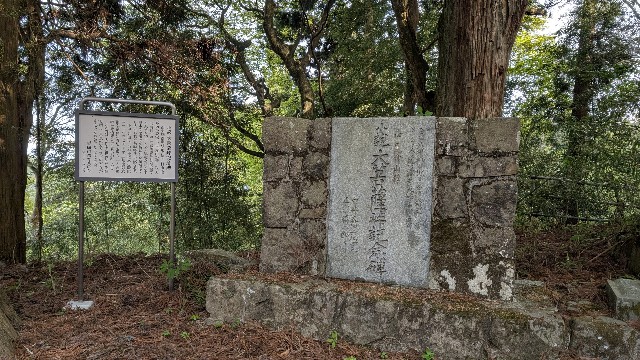 f:id:haniwakai:20250531235656j:image