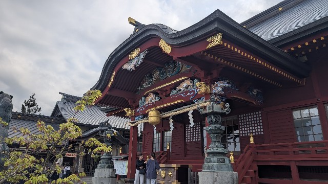 f:id:haniwakai:20250601000223j:image