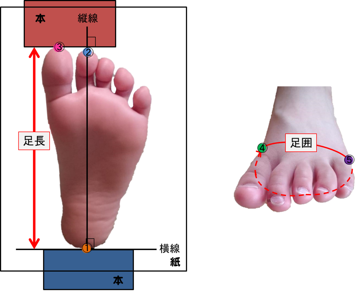 足測定のイメージ図