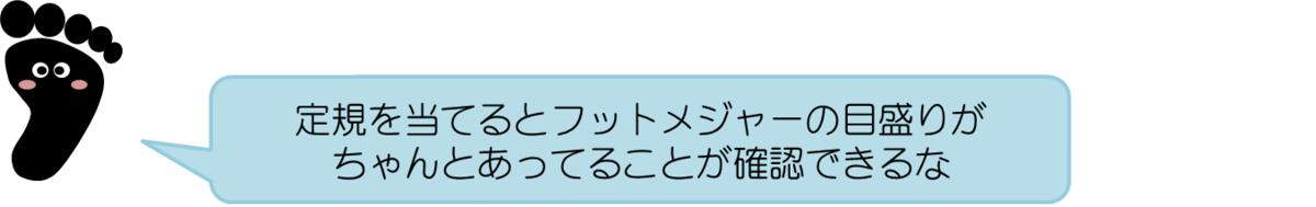 あっしーコメント：定規を当てるとフットメジャーの目盛りが ちゃんとあってることが確認できるな