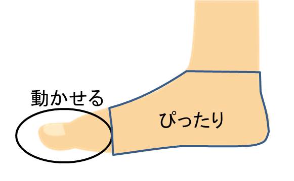 靴の中の足のイメージ図