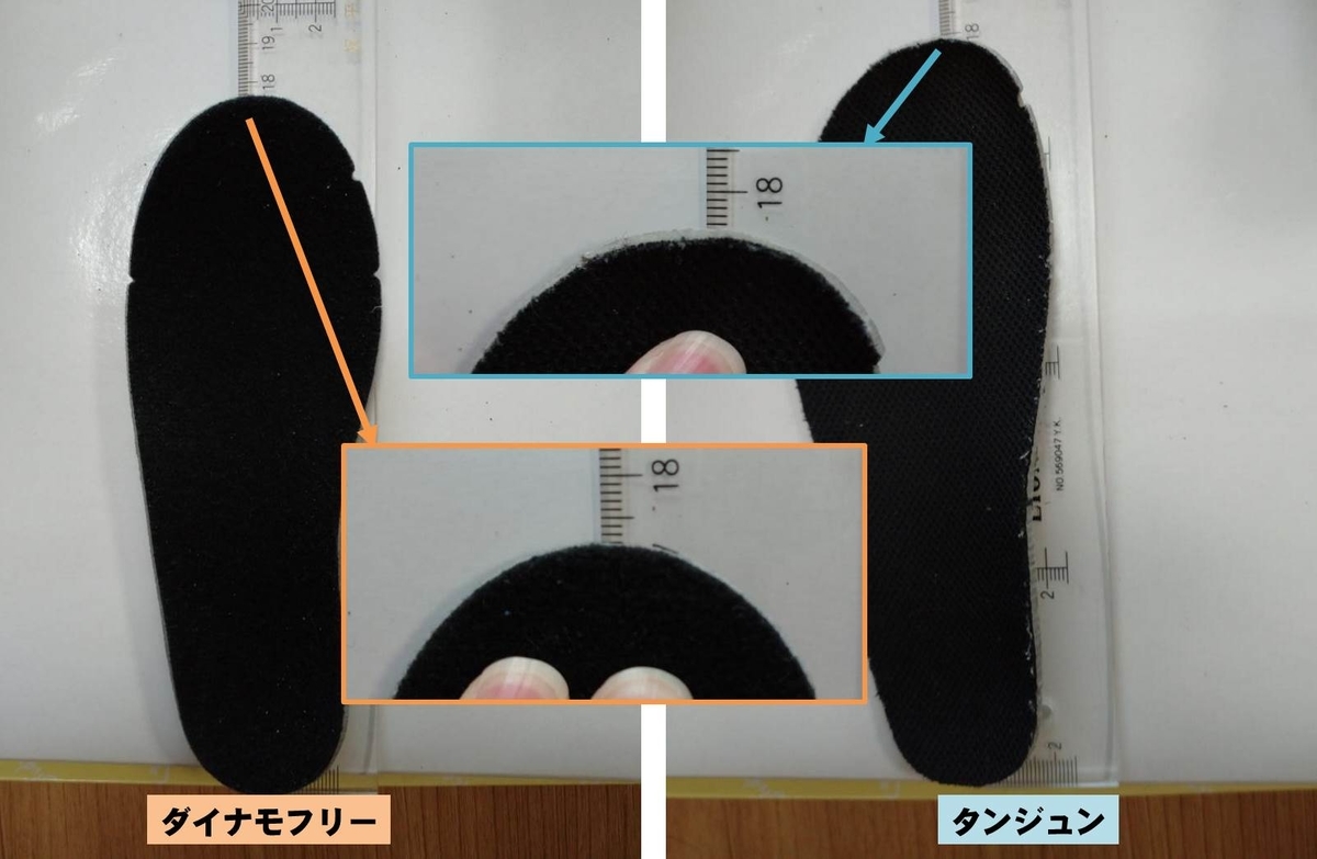 Nikeダイナモフリーは大きめなの Nikeタンジュンと同サイズを比較してみた コドモくつ調査隊
