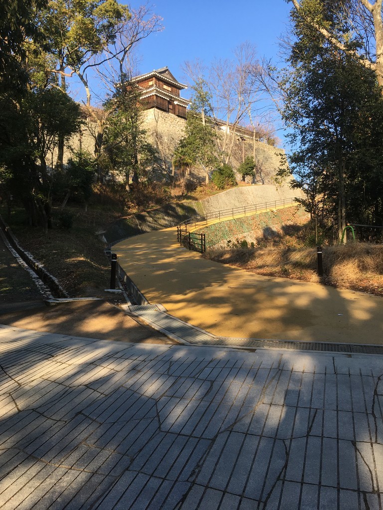f:id:hanjukudoctor:20190114084232j:plain:w350