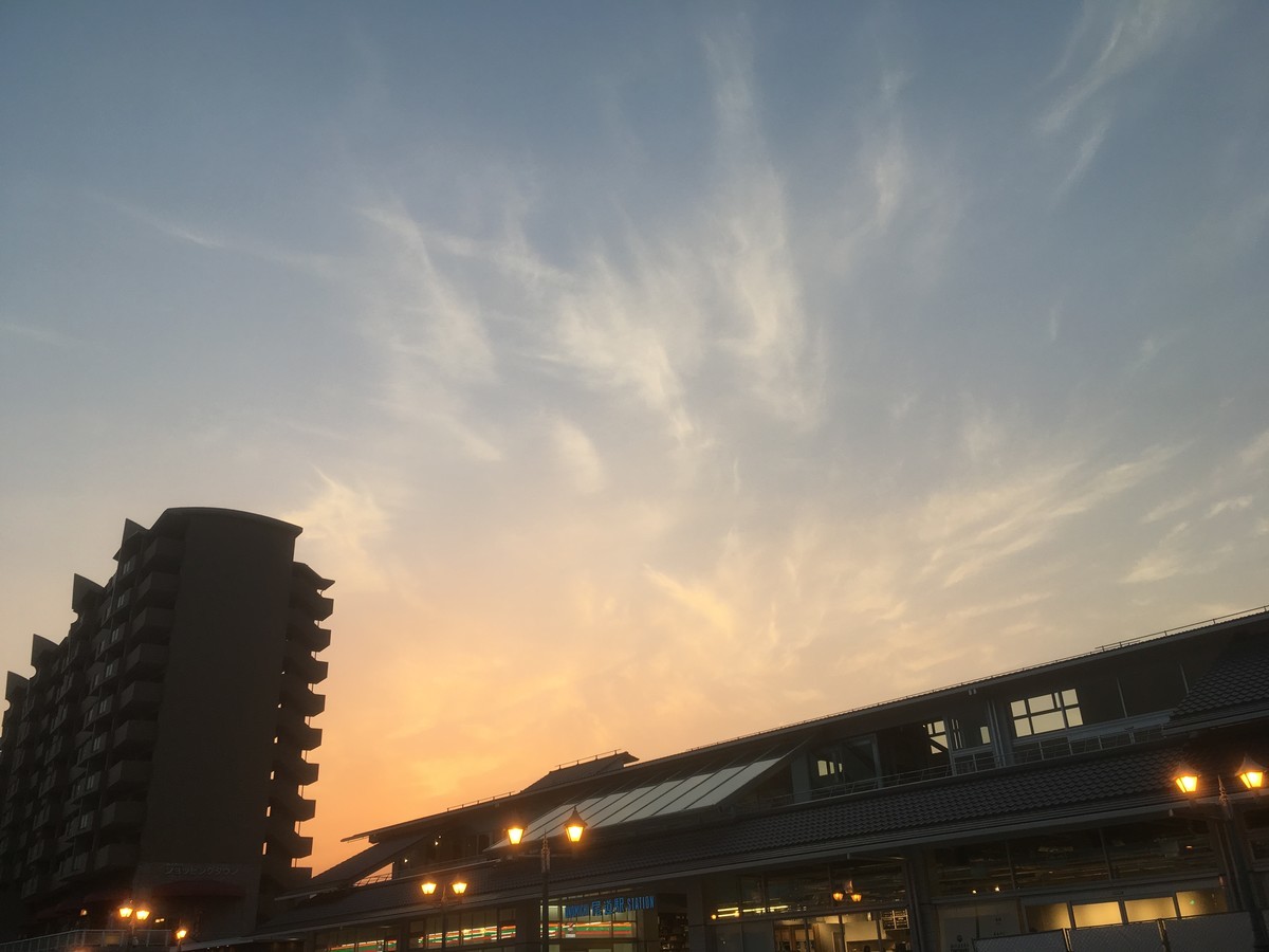 f:id:hanjukudoctor:20190329181925j:plain:w300 f:id:hanjukudoctor:20190329181925j:plain:w300
