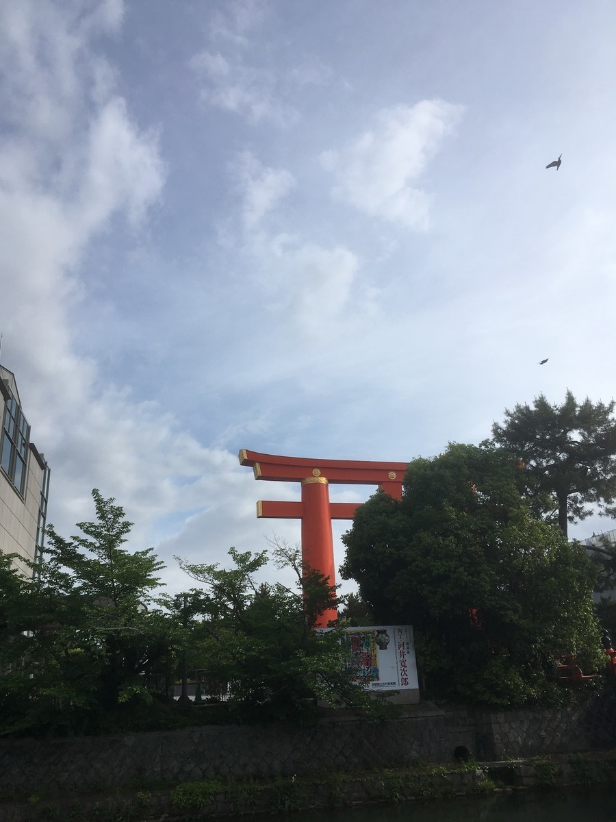 f:id:hanjukudoctor:20190518072645j:plain:w300