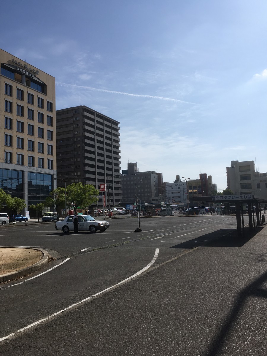 f:id:hanjukudoctor:20190609081637j:plain:w300