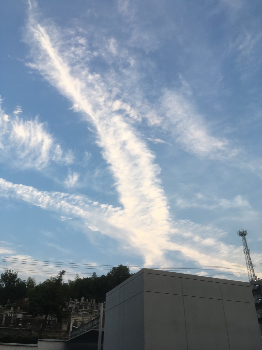 f:id:hanjukudoctor:20190705191109j:plain:w300 f:id:hanjukudoctor:20190705191109j:plain:w300