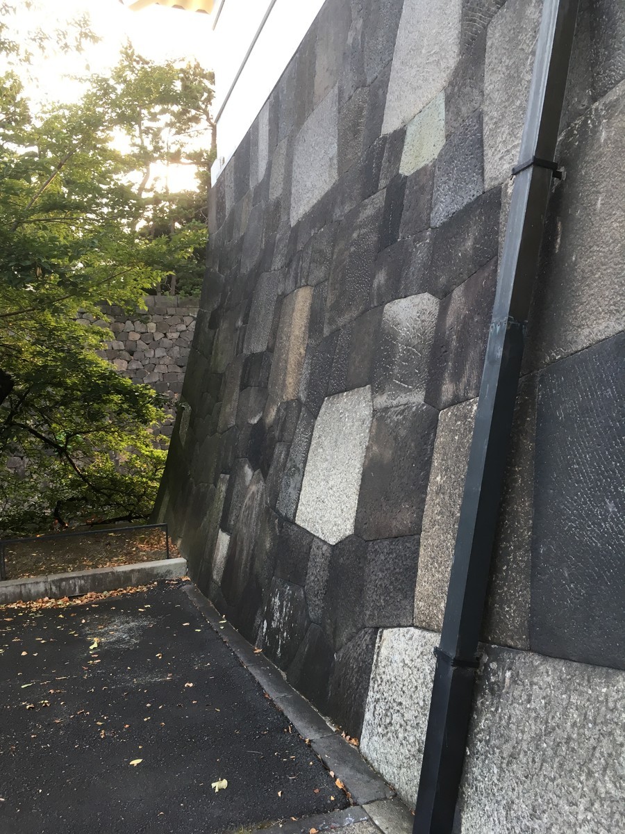 f:id:hanjukudoctor:20190811055426j:plain:w300