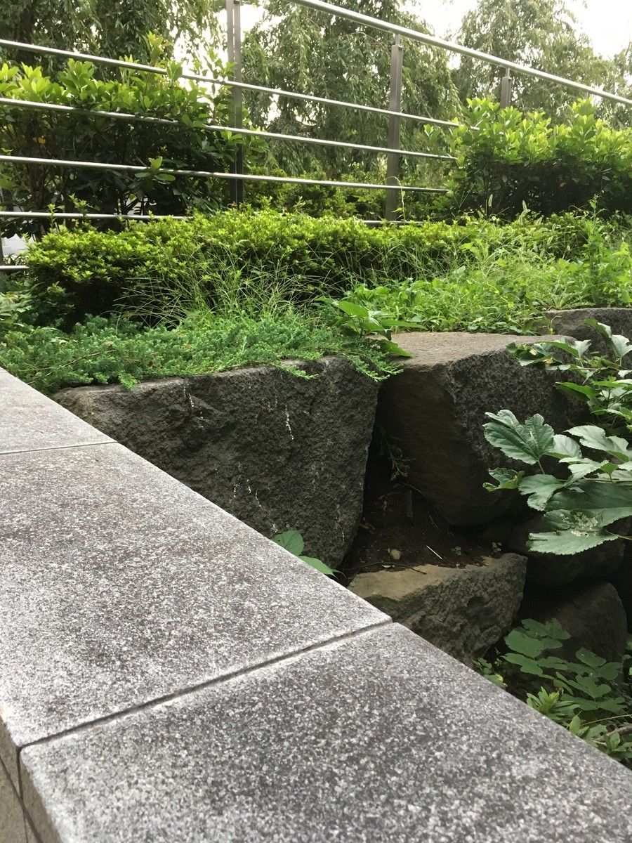 f:id:hanjukudoctor:20190914061413j:plain:w300