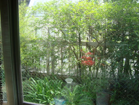 f:id:hankinren:20110918124314j:image f:id:hankinren:20110918124314j:image