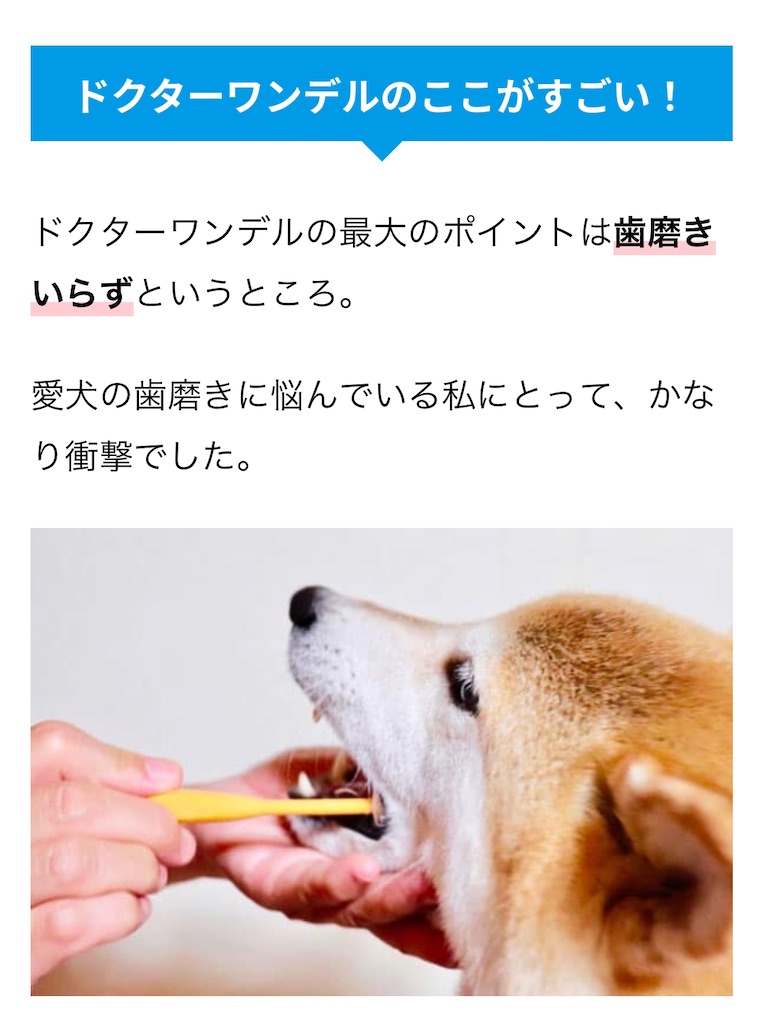 f:id:hanna0125tan:20200913200038j:image f:id:hanna0125tan:20200913200038j:image