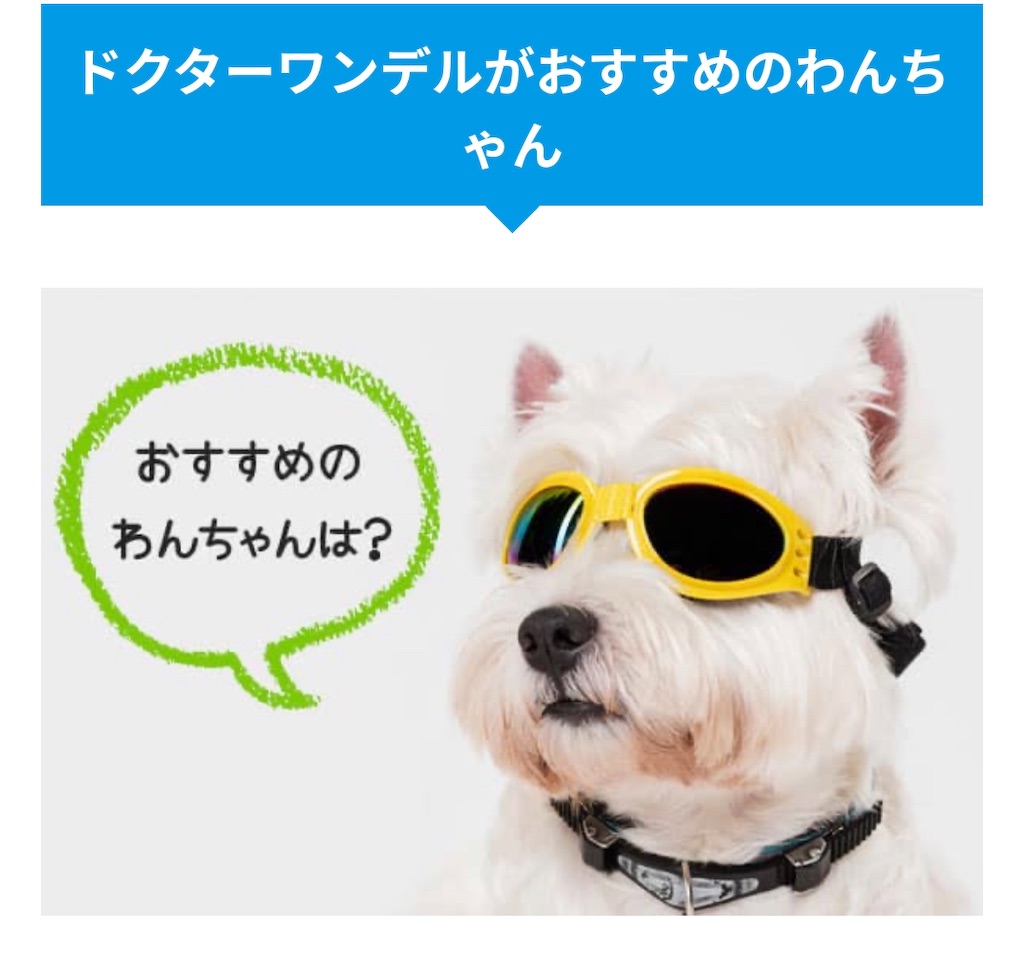 f:id:hanna0125tan:20200913200819j:image f:id:hanna0125tan:20200913200819j:image