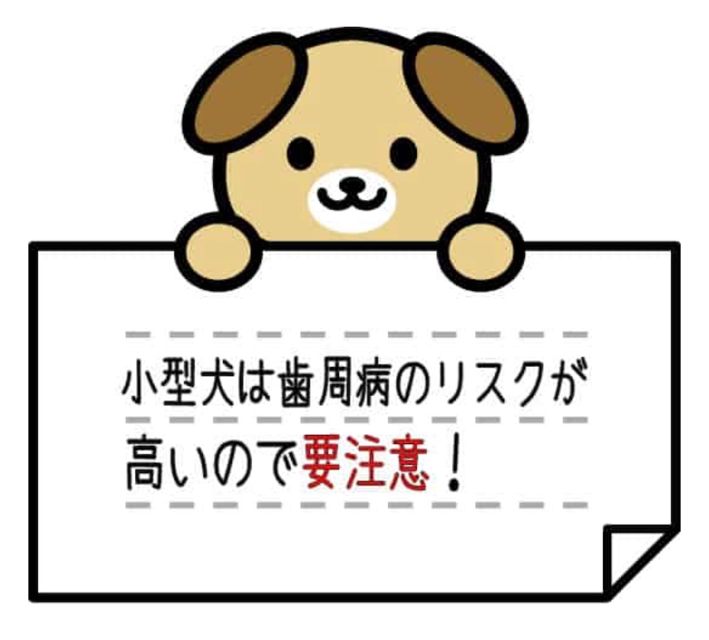 f:id:hanna0125tan:20200913200952j:image f:id:hanna0125tan:20200913200952j:image